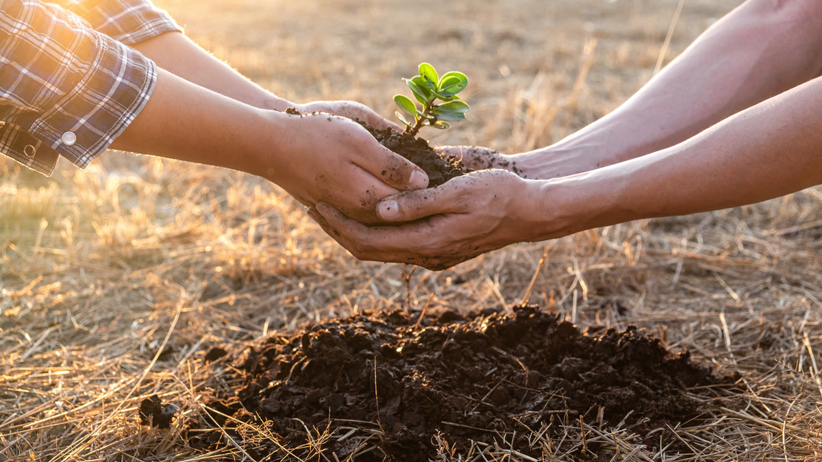 Health Benefits of Being Kind